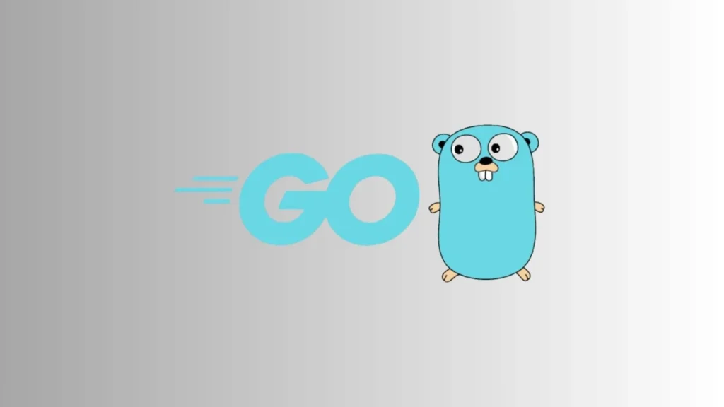 بهترین زبان های برنامه نویسی برای مهاجرت