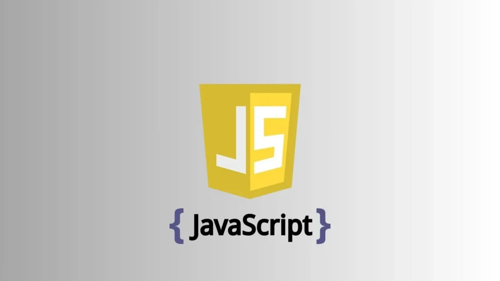 بهترین زبان های برنامه نویسی برای مهاجرت